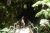 Hawaii_028.jpg